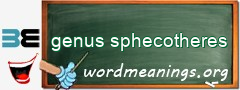 WordMeaning blackboard for genus sphecotheres